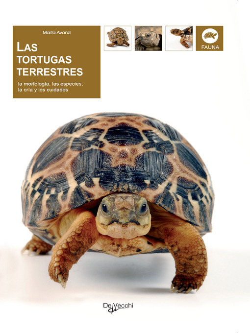 Title details for Las tortugas terrestres by Marta Avanzi - Available